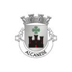 Procedimento Concursal para Assistente Técnico